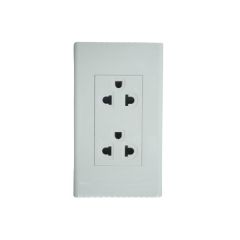 Alphalux 2 Gang Universal American Outlet with Plate 