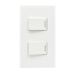 Alphalux 2g One Way Switch with Plate 15a